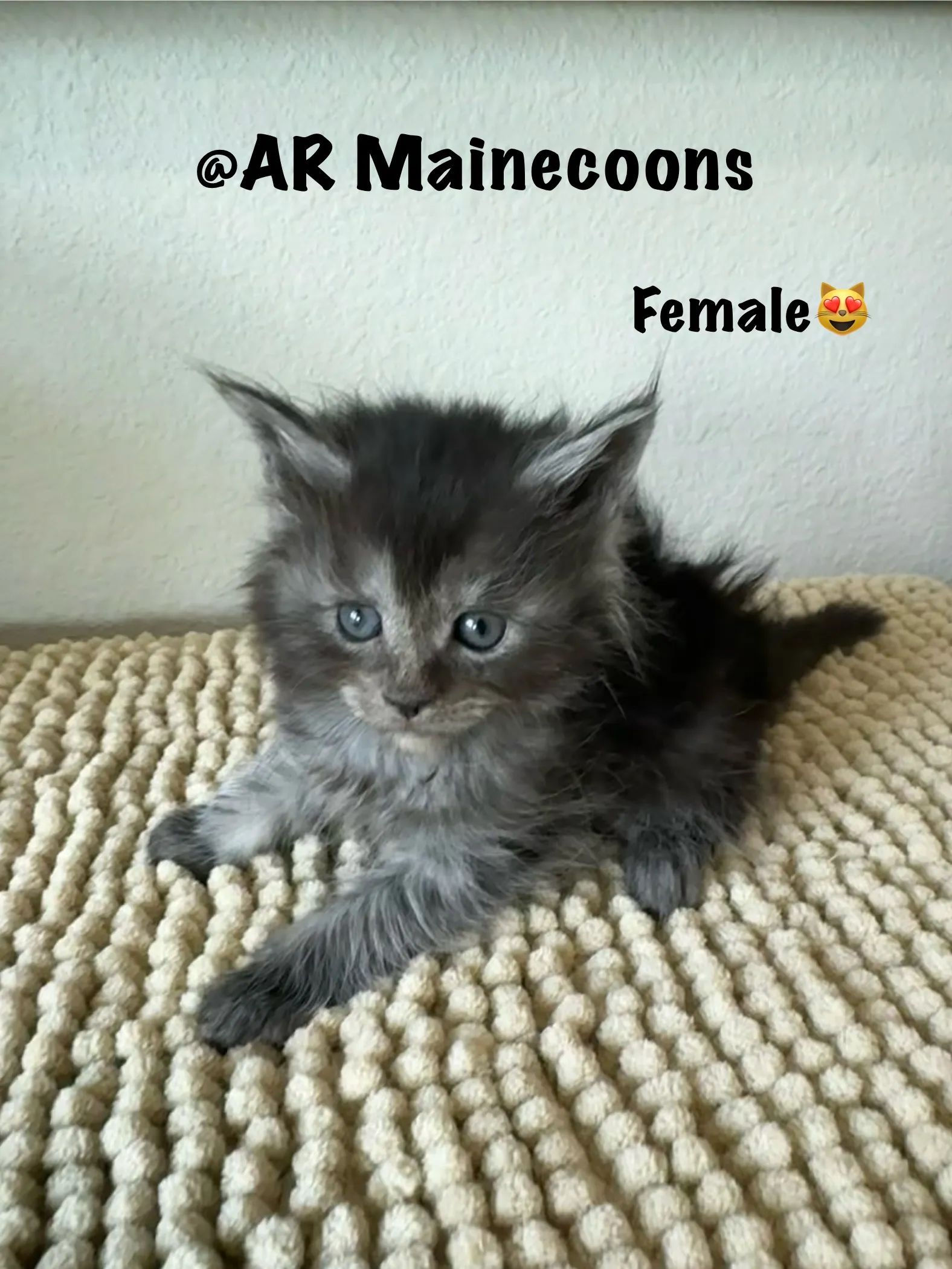 female 002.BLF fj5q