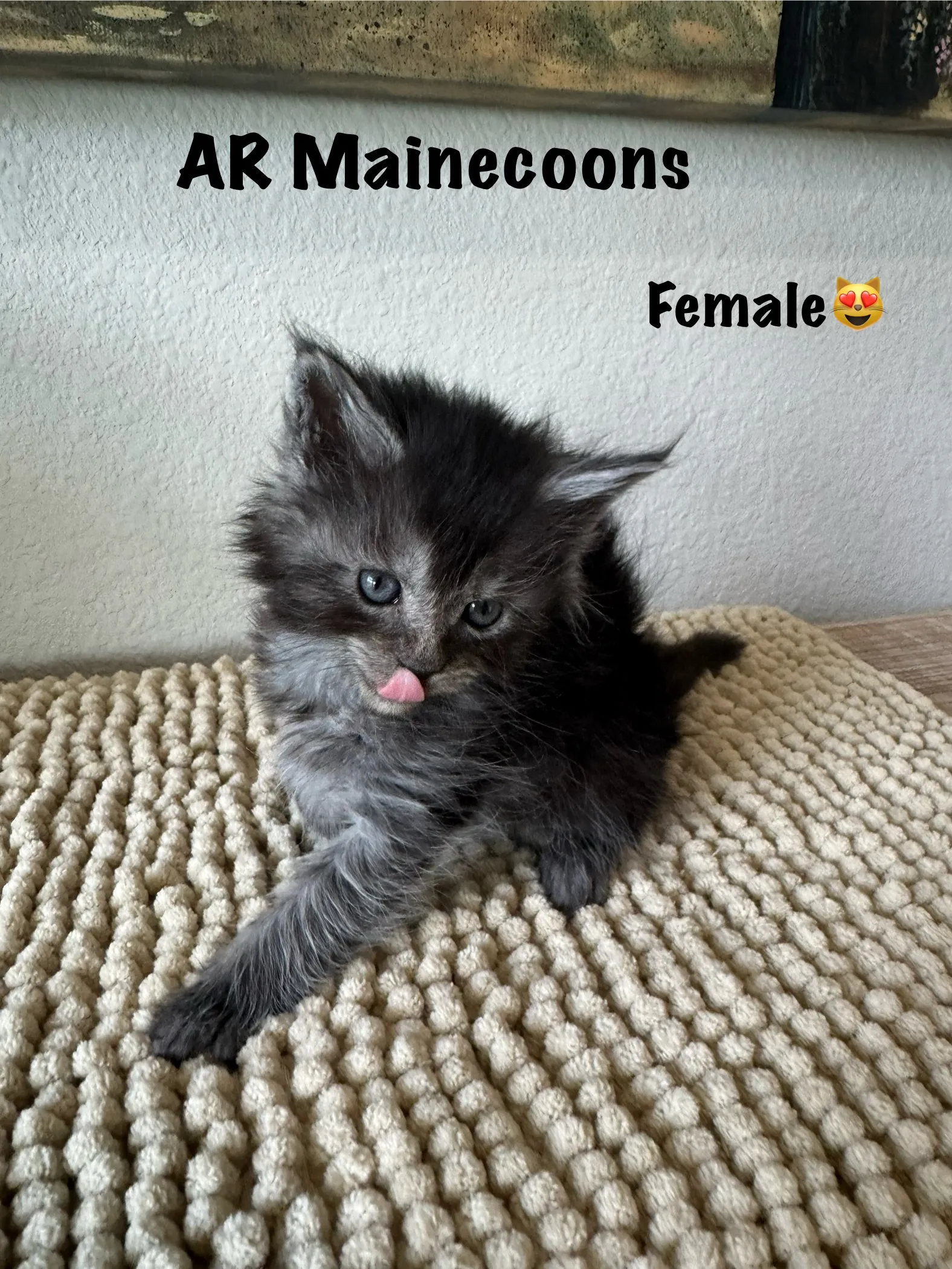 female 003.LqzWlM1b
