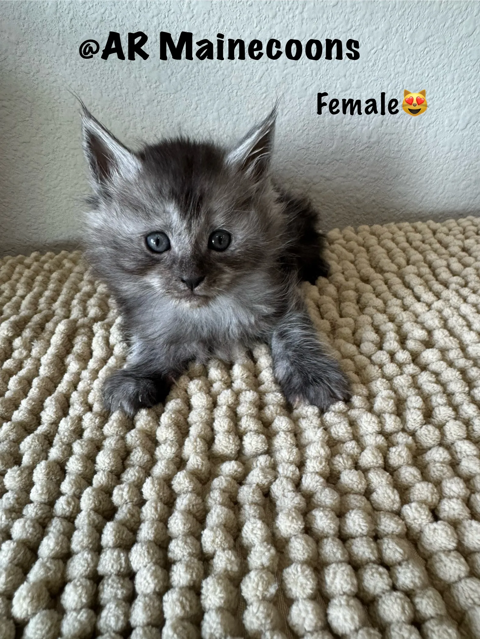 female 004.DE5lCRez