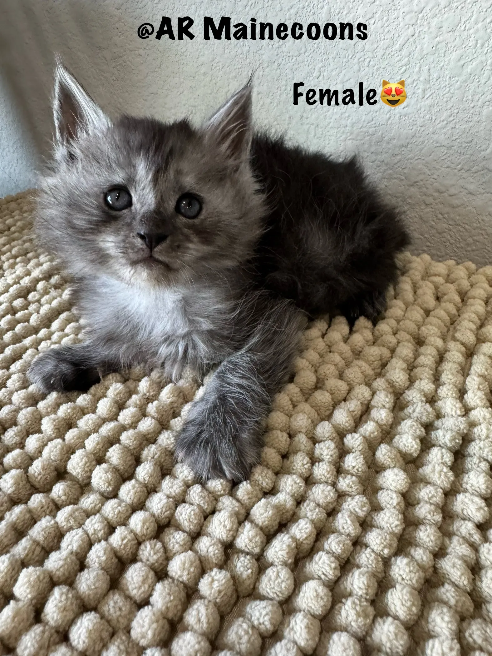 female 005.BHyDjbRh