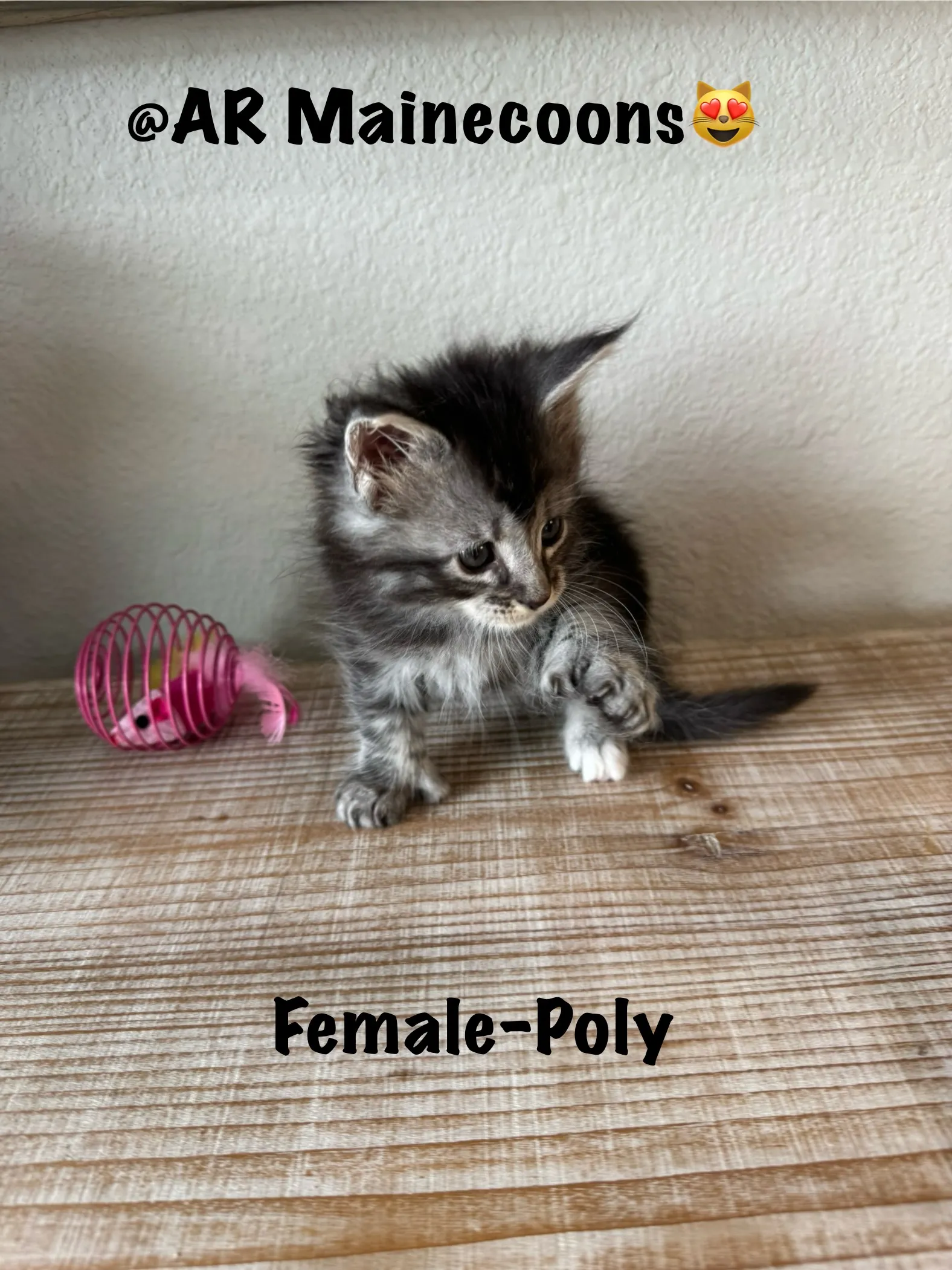female 006.Ce5MDTog