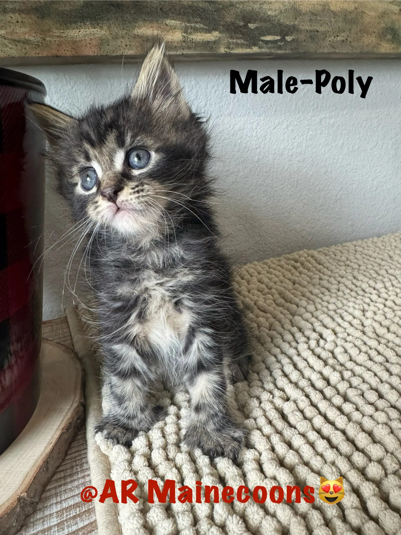 male 000.Bp vz5UQ