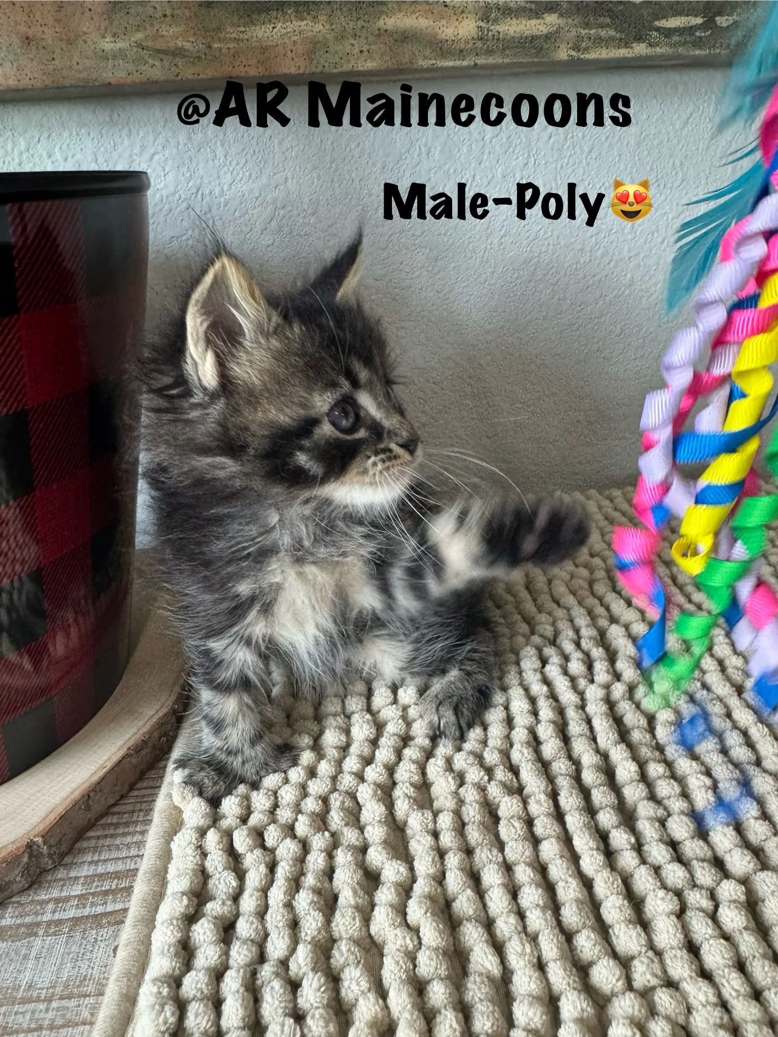 male 001.PzEjYCza